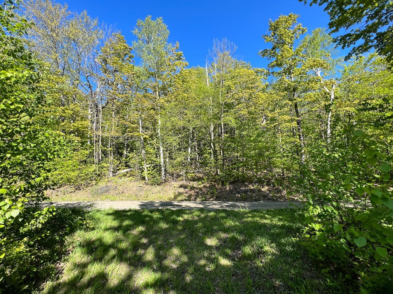 3 High View Road Warren, VT 05674 - Photo 47 of 59