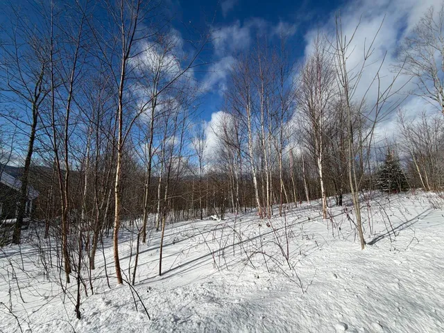 $99,500 | 3 High View Road, Warren, VT 05674