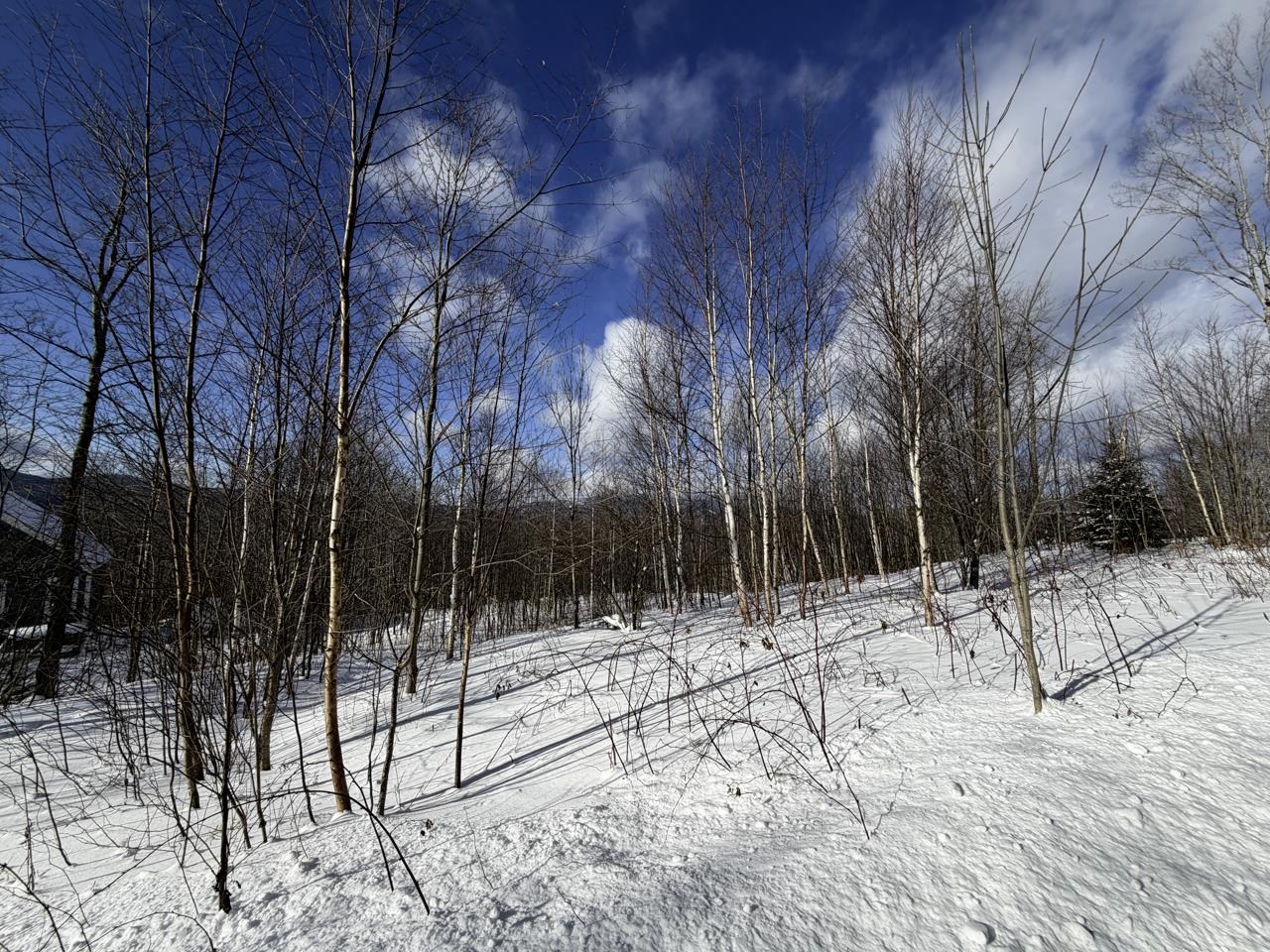 3 High View Road Warren, VT 05674 - Photo 5 of 59
