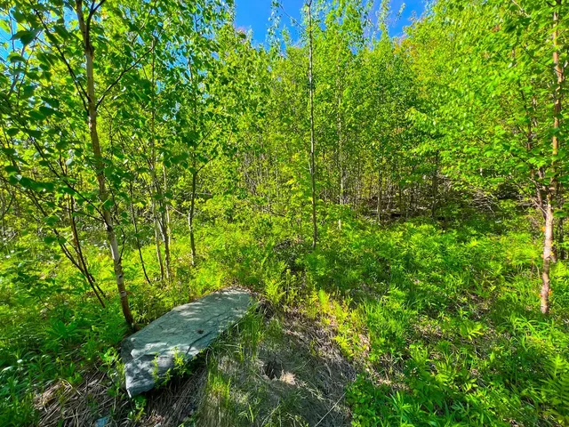 $99,500 | 3 High View Road, Warren, VT 05674