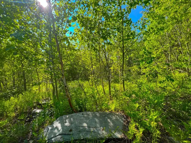 $99,500 | 3 High View Road, Warren, VT 05674