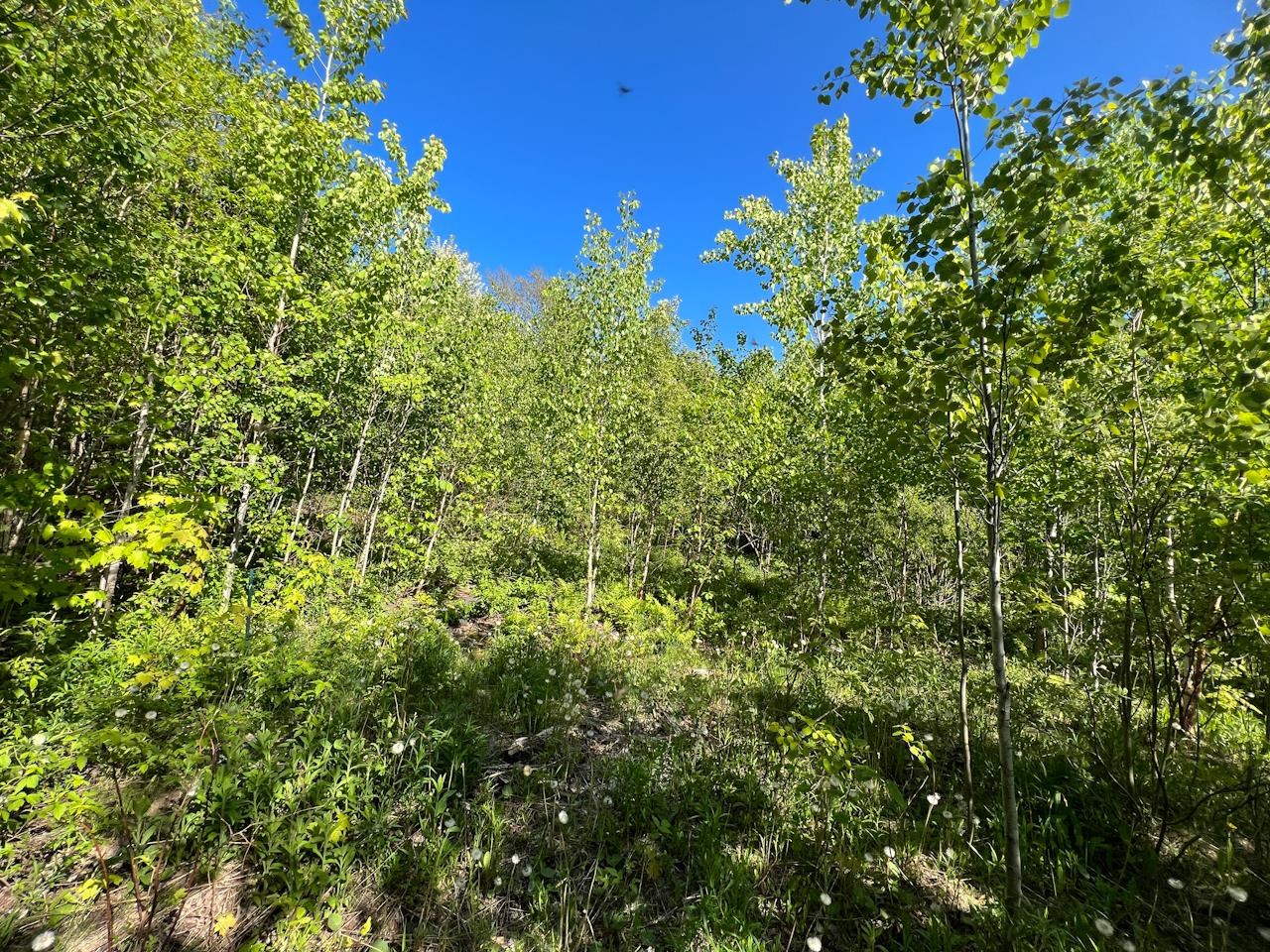 3 High View Road Warren, VT 05674 - Photo 54 of 59