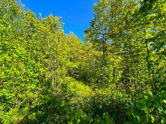 $99,500 | 3 High View Road, Warren, VT 05674