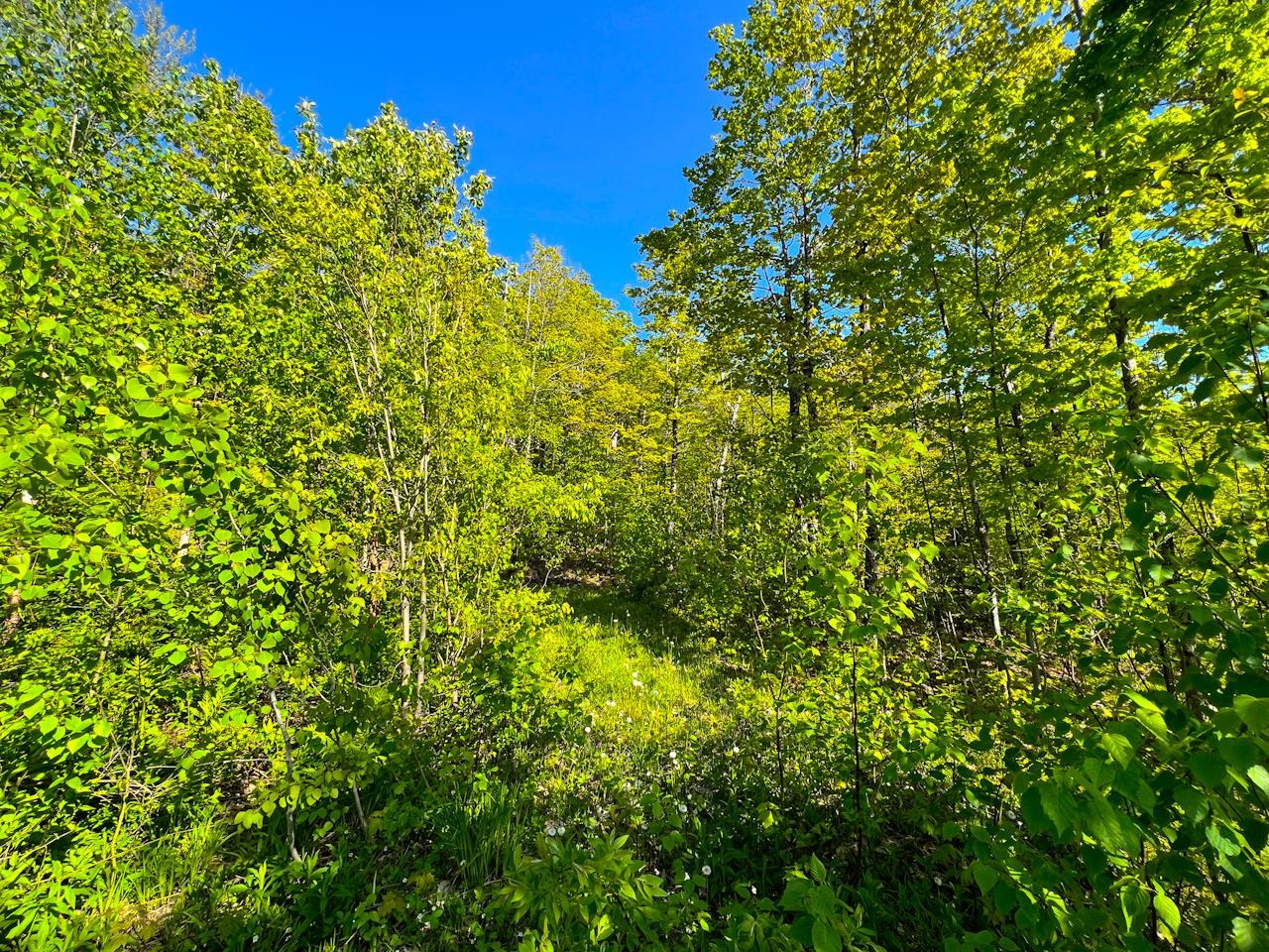 3 High View Road Warren, VT 05674 - Photo 55 of 59
