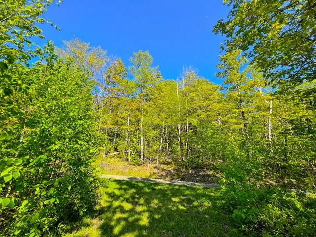$99,500 | 3 High View Road, Warren, VT 05674