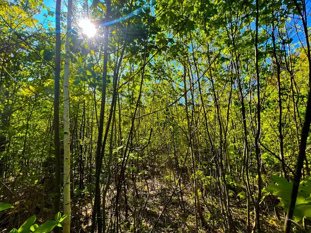 $99,500 | 3 High View Road, Warren, VT 05674