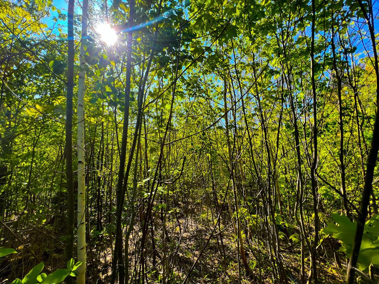 3 High View Road Warren, VT 05674 - Photo 57 of 59