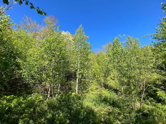 $99,500 | 3 High View Road, Warren, VT 05674