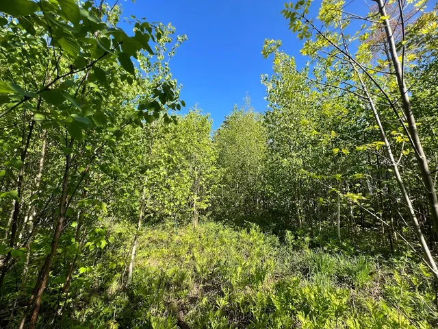 $99,500 | 3 High View Road, Warren, VT 05674