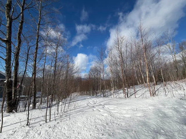 $99,500 | 3 High View Road, Warren, VT 05674