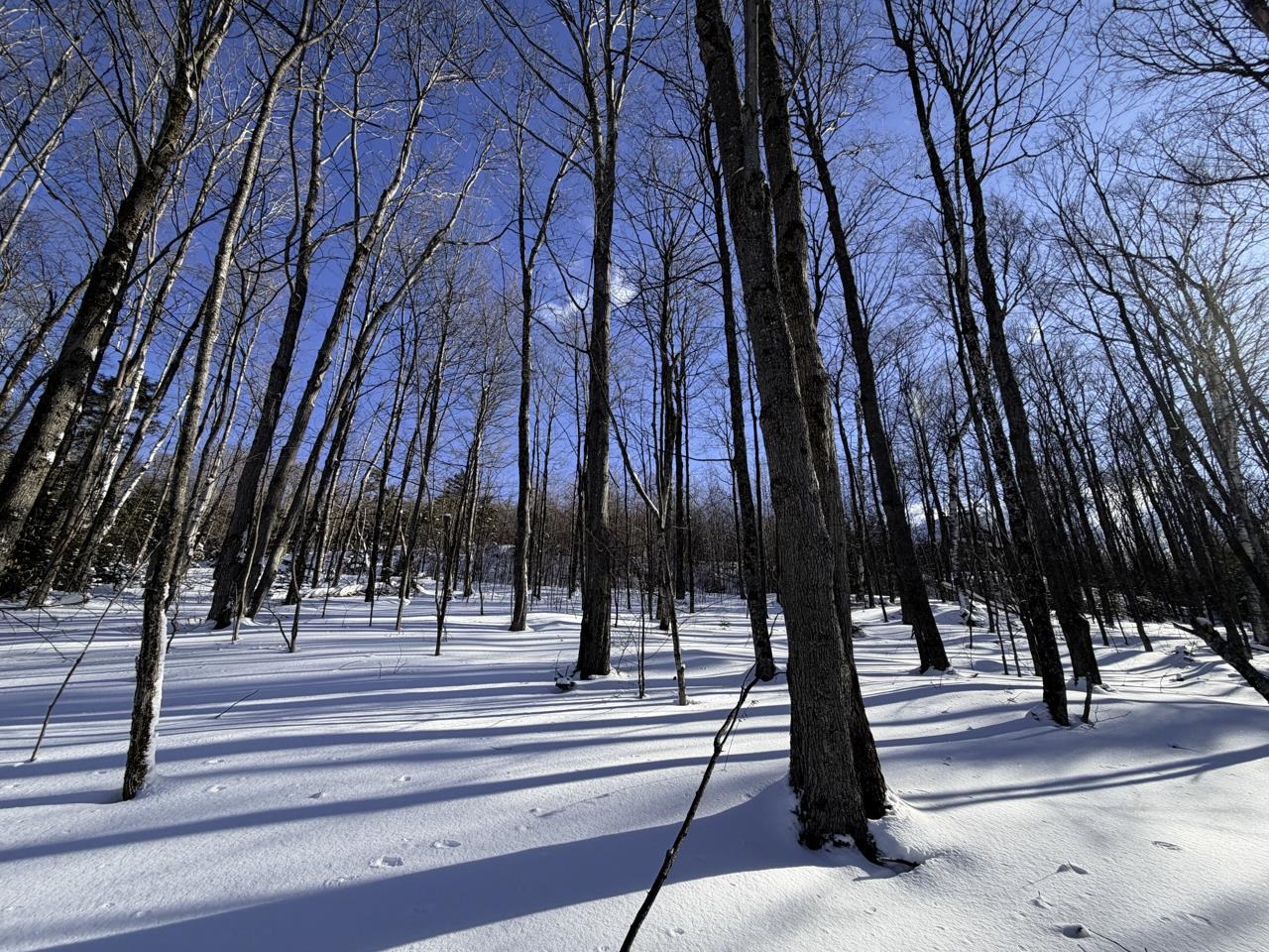3 High View Road Warren, VT 05674 - Photo 7 of 59