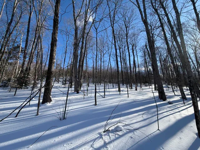 $99,500 | 3 High View Road, Warren, VT 05674