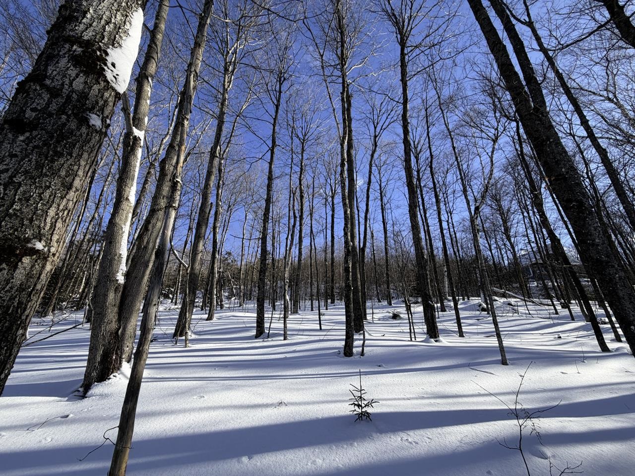 3 High View Road Warren, VT 05674 - Photo 9 of 59