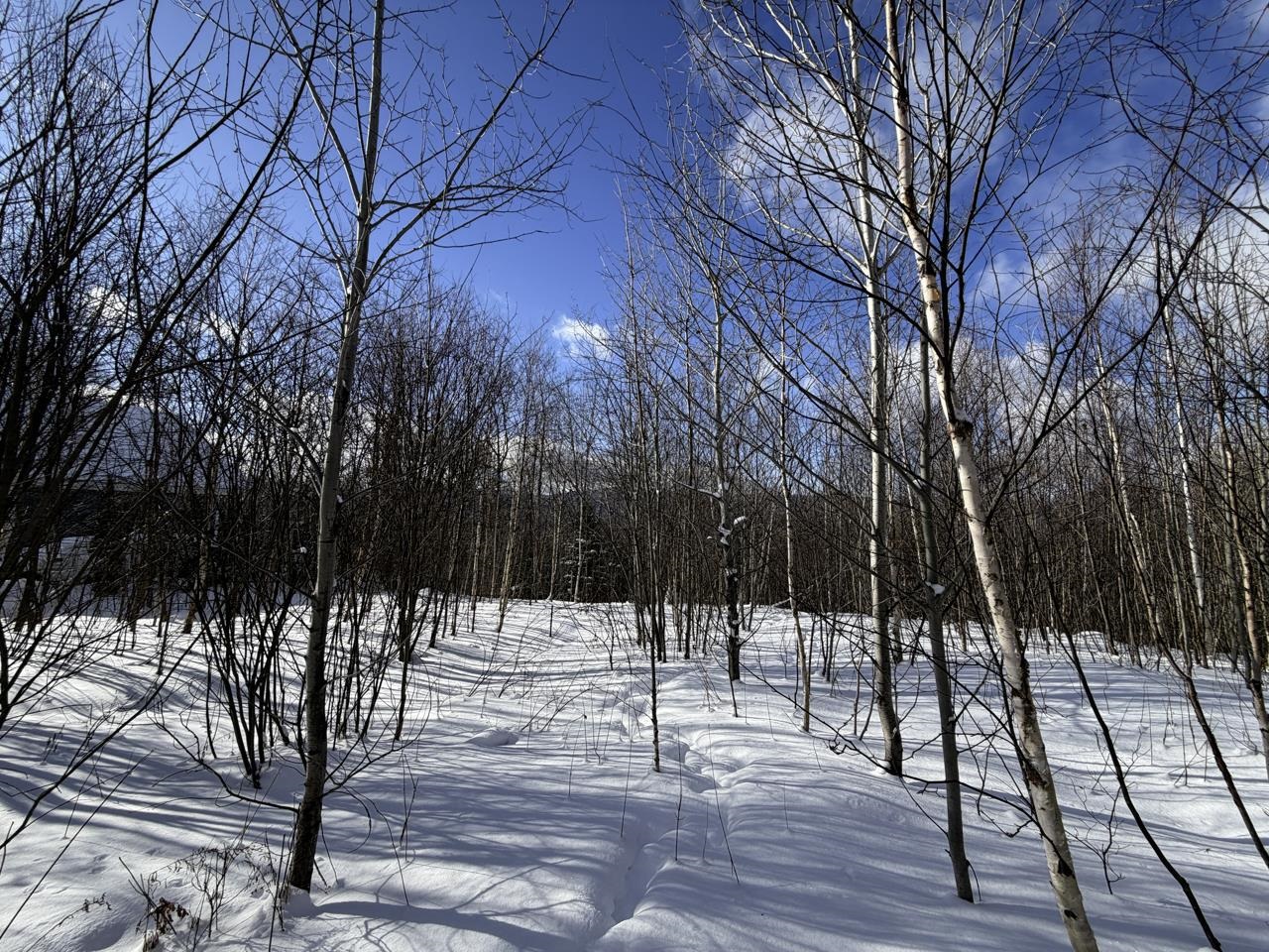 3 High View Road Warren, VT 05674 - Photo 10 of 59
