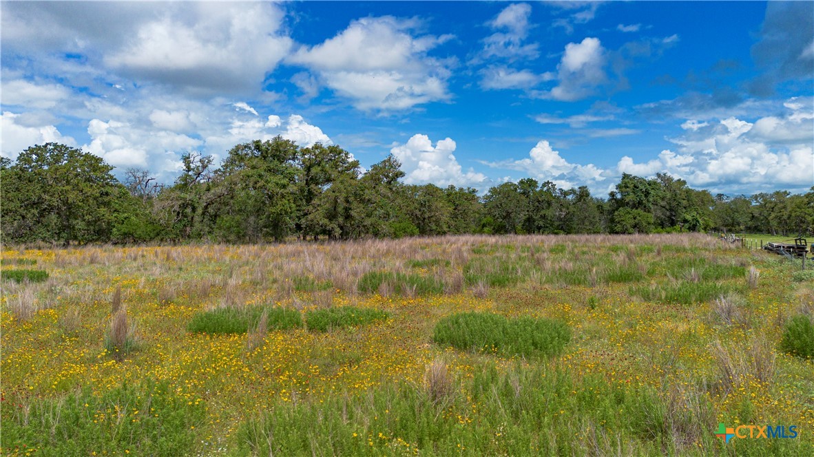84 Longhorn Road Stockdale, TX 78160 - Photo 15 of 31