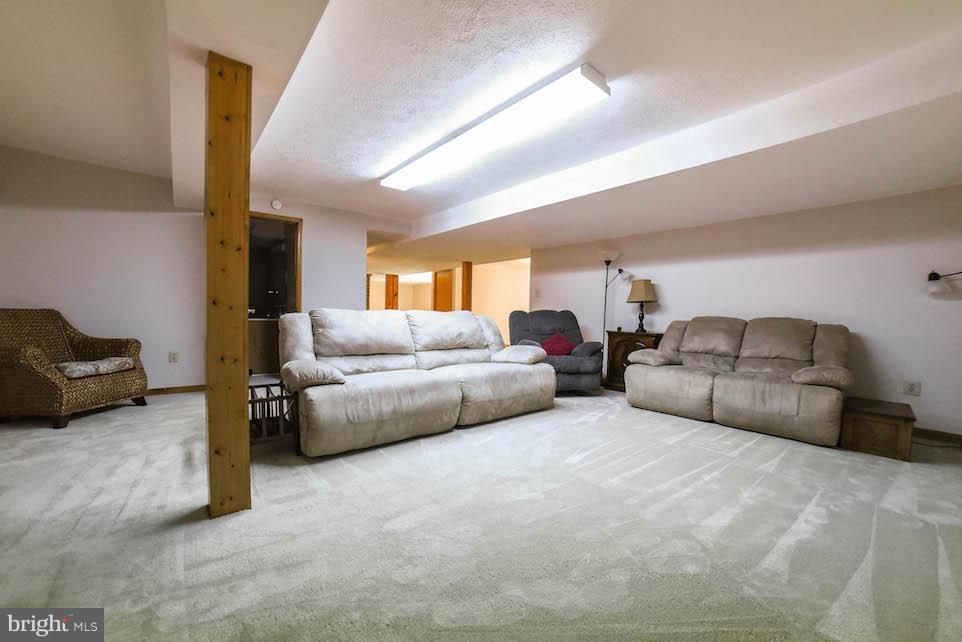12505 Shiloh Church Road Newburg, MD 20664 - Photo 18 of 29 Lower level rec room/area....