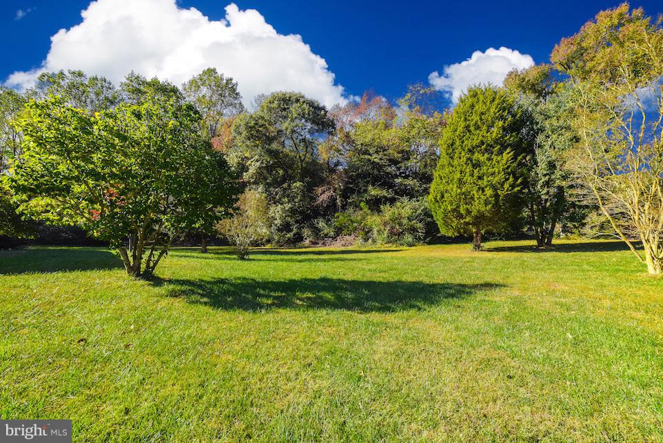 12505 Shiloh Church Road Newburg, MD 20664 - Photo 29 of 29 Yard