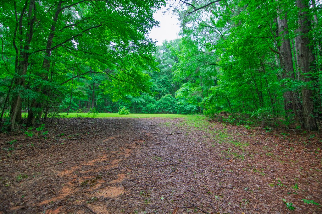 8639 Lower Blue Springs Road Fortson, GA 31808 - Photo 43 of 47 Gallery Image 43