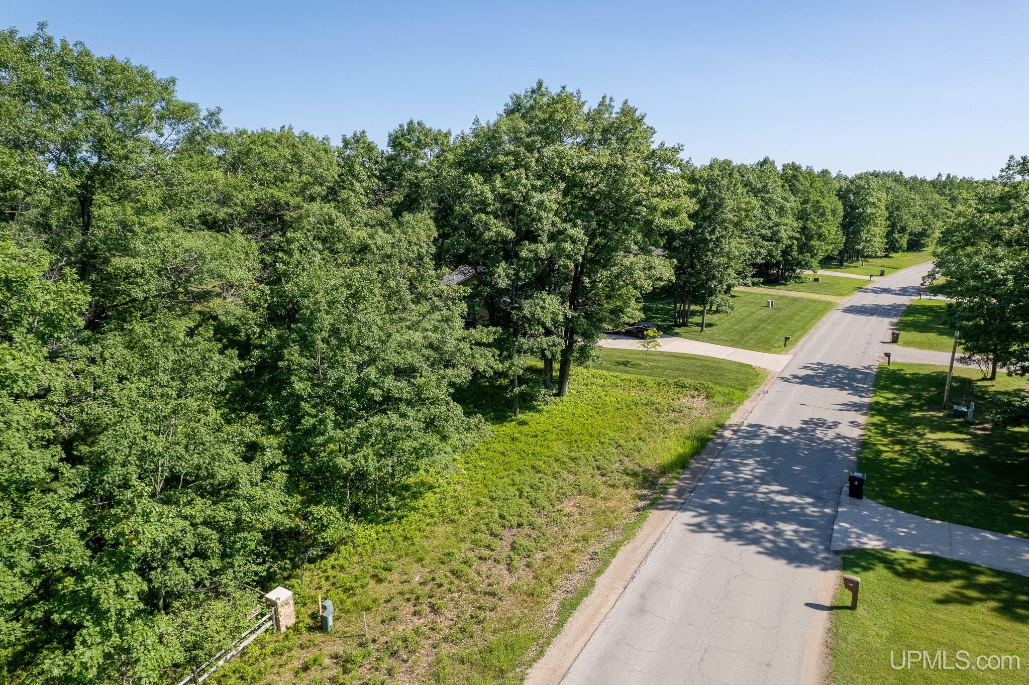 Tbd Tipperary Road Gladstone, MI 49837 - Photo 8 of 18