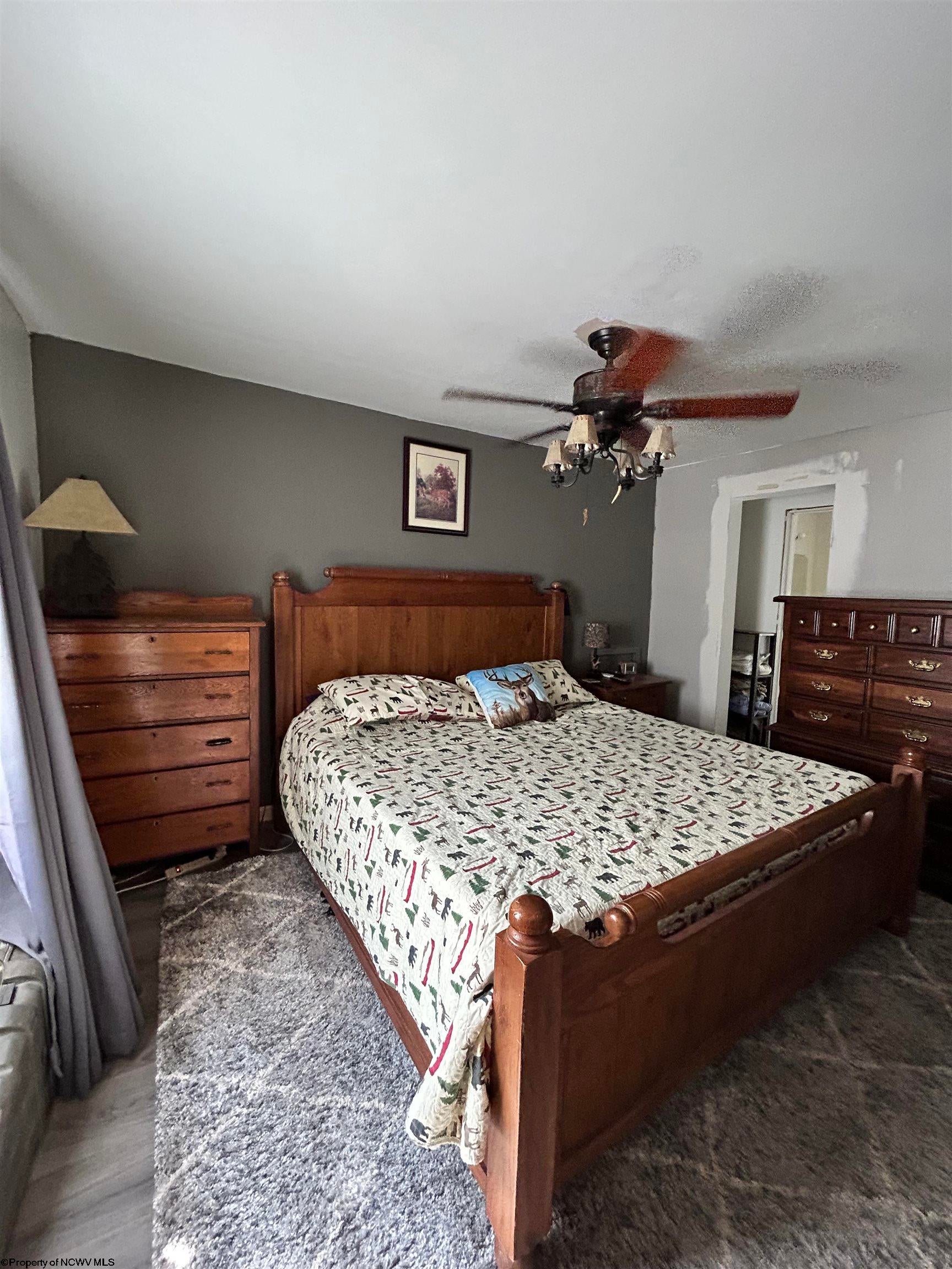 465 Douglas Road Thomas, WV 26292 - Photo 16 of 24 Gallery Image 16