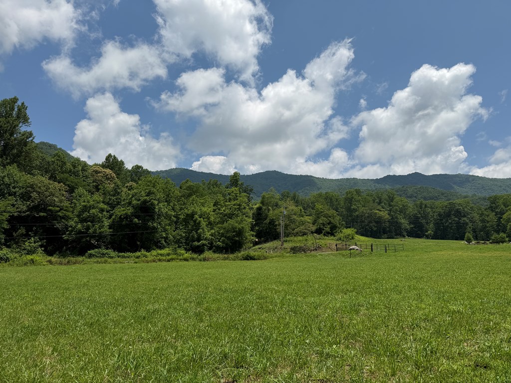 1446 Muskrat Creek Road Hayesville, NC 28904 - Photo 104 of 108