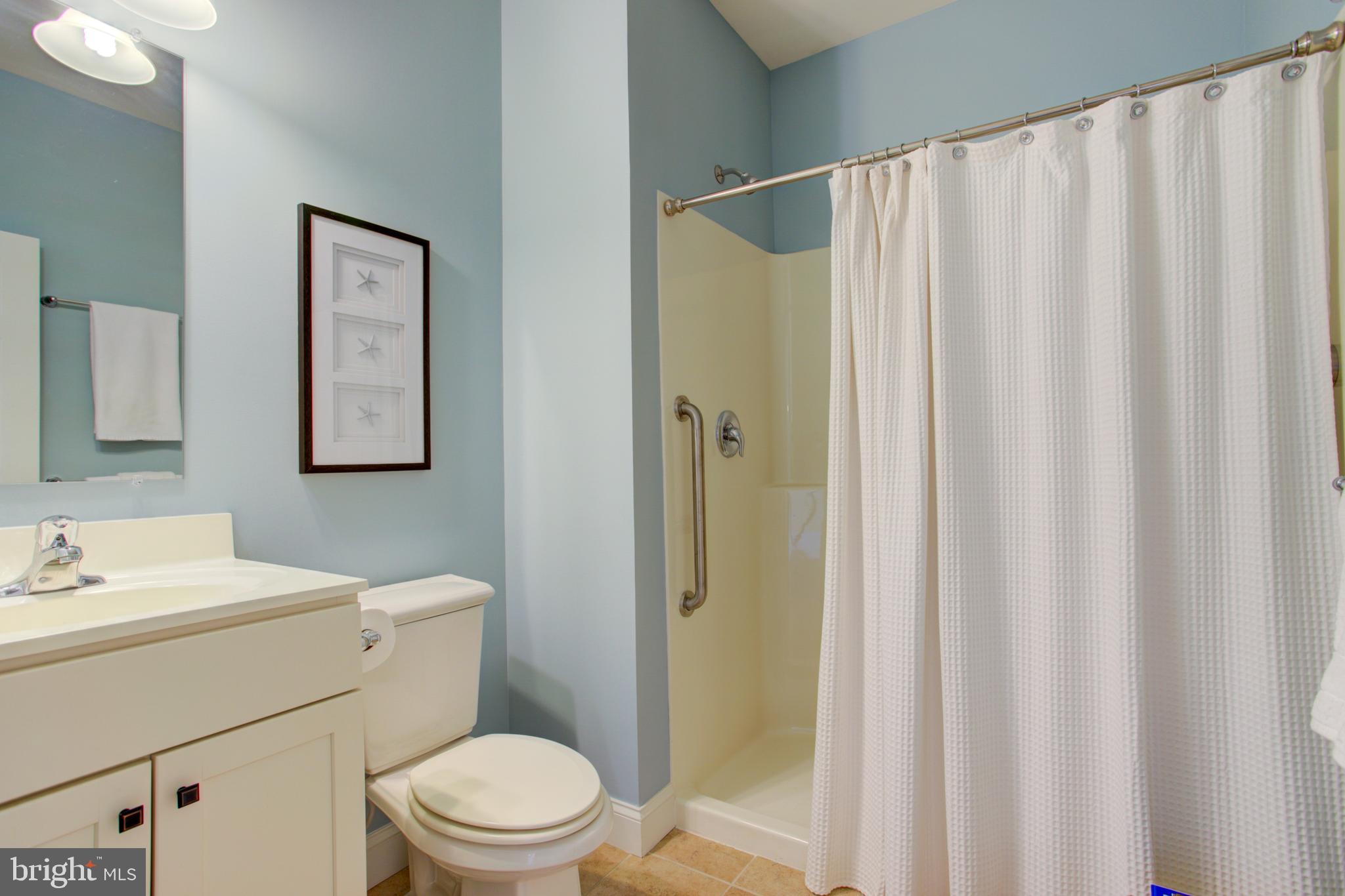 617 Warminster Lane Lititz, PA 17543 - Photo 23 of 56 1st floor bath - Large shower stall with grab rail