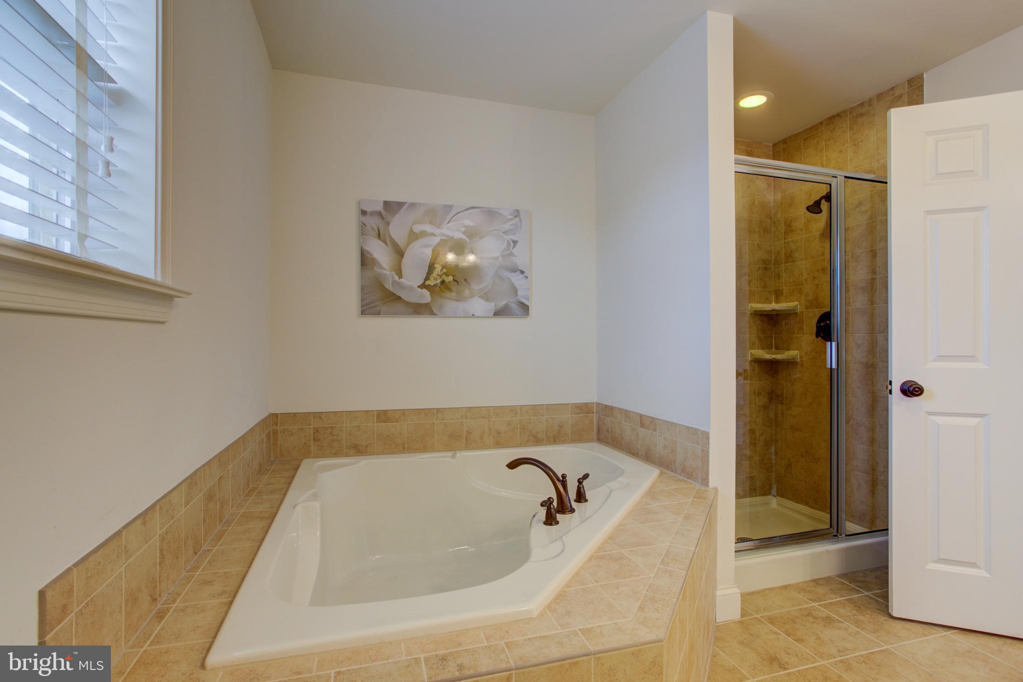 617 Warminster Lane Lititz, PA 17543 - Photo 31 of 56 Master Bath Soaking tub & shower