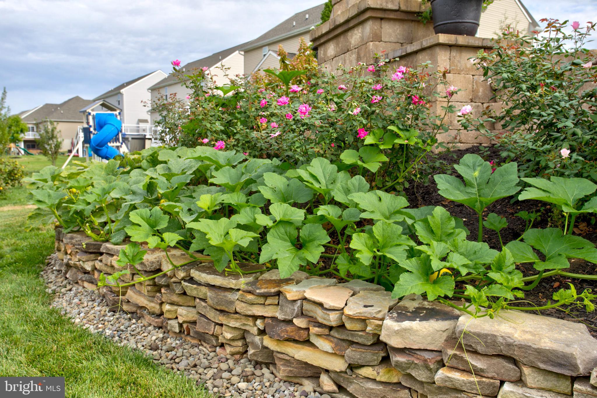 617 Warminster Lane Lititz, PA 17543 - Photo 48 of 56 Stone retaining wall with summer plantings!