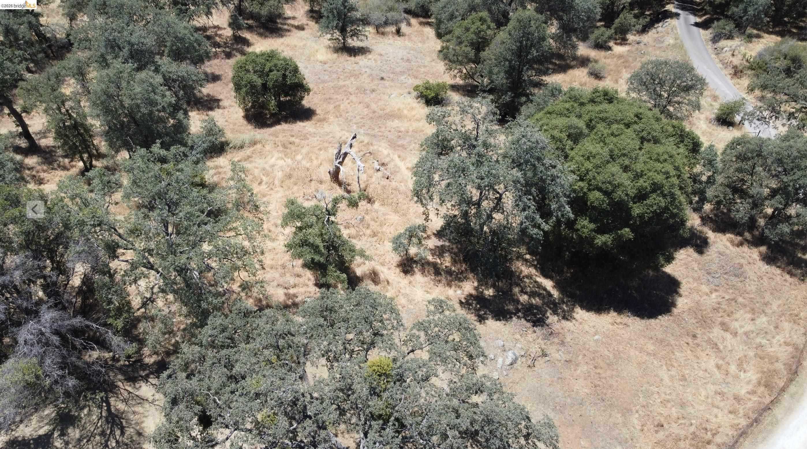 18195 Wards Ferry Road Sonora, CA 95370 - Photo 59 of 67 Expansive land parcel featuring mature trees, a mix of green foliage and dry grasses, and a visible unpaved road