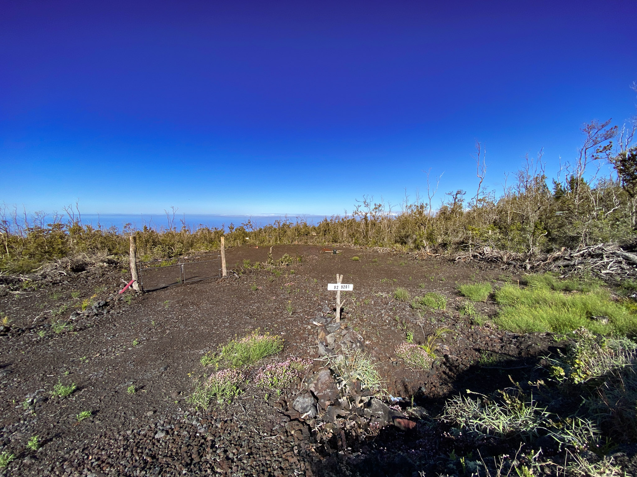12 Tiki Lane Ocean View, HI 96704 - Photo 4 of 6 a view of a yard with a house in the background