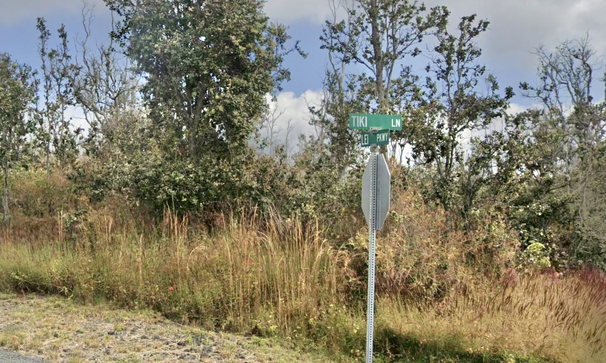 12 Tiki Lane Ocean View, HI 96704 - Photo 6 of 6 a backyard of a house with large trees