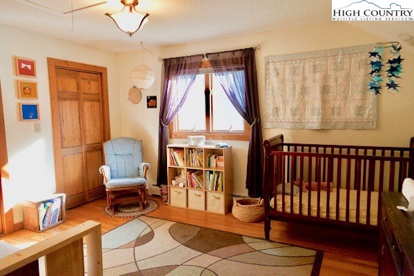 353 Clark Swift Road Vilas, NC 28692 - Photo 21 of 43 Gallery Image 21