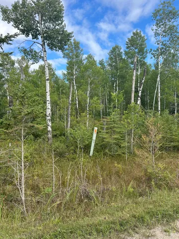 $23,900 | Tbd 340th Avenue, Roseau, MN 56751