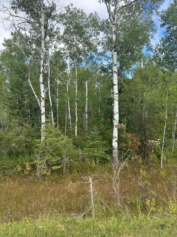 $23,900 | Tbd 340th Avenue, Roseau, MN 56751
