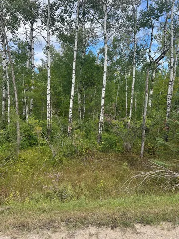 $23,900 | Tbd 340th Avenue, Roseau, MN 56751