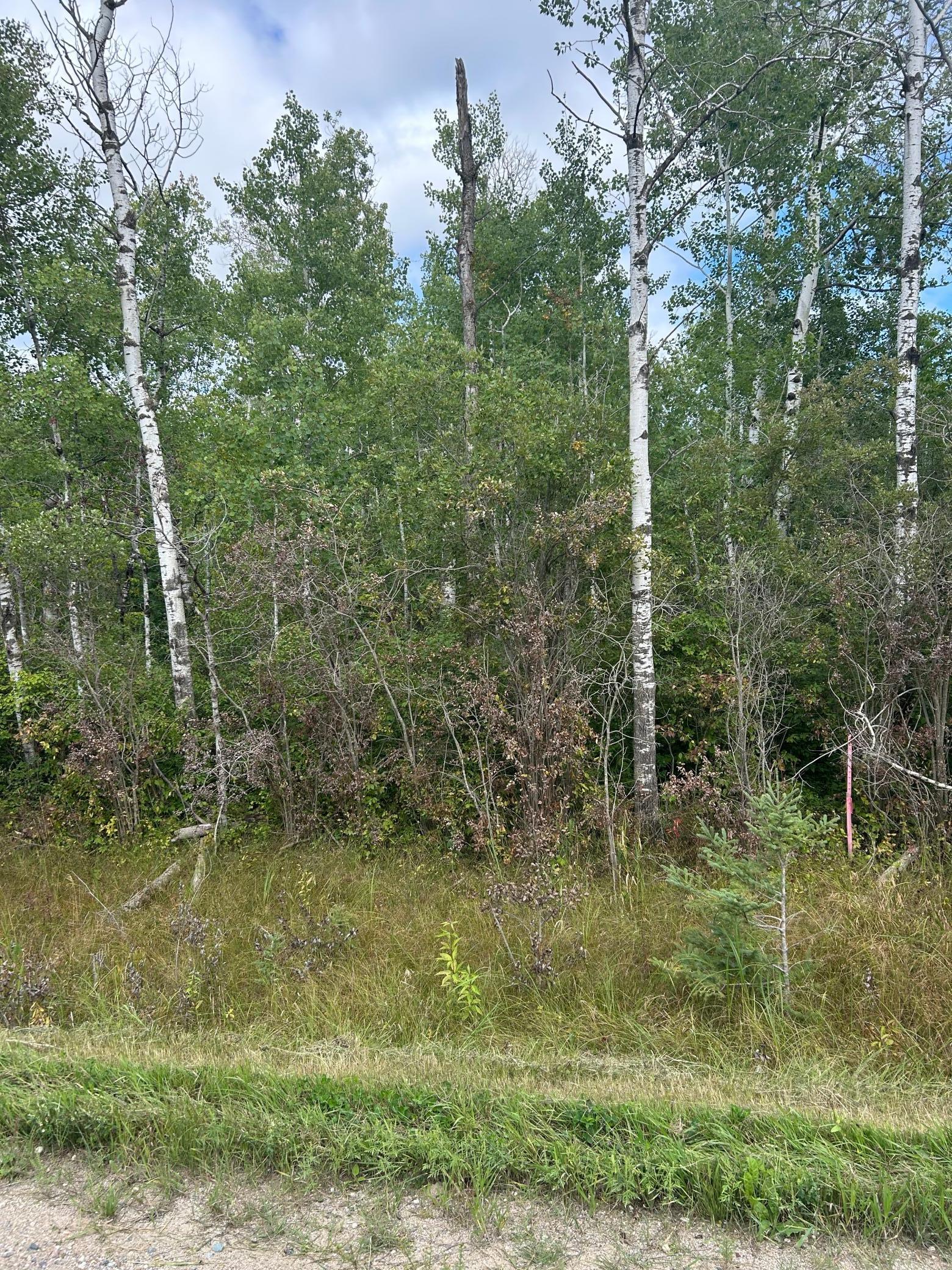 Tbd 340th Avenue Roseau, MN 56751 - Photo 14 of 15