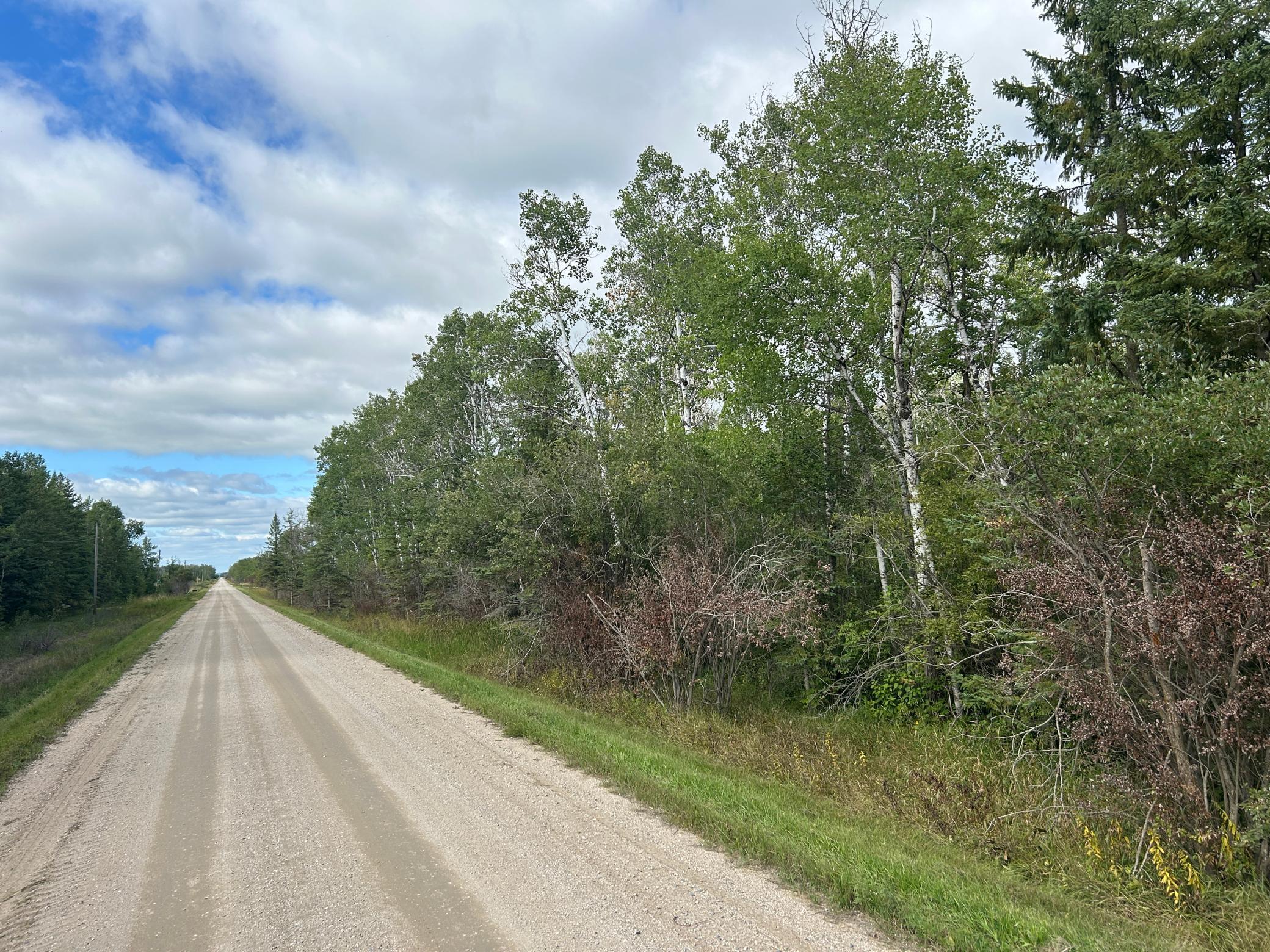 Tbd 340th Avenue Roseau, MN 56751 - Photo 3 of 15