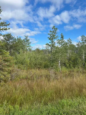 $23,900 | Tbd 340th Avenue, Roseau, MN 56751