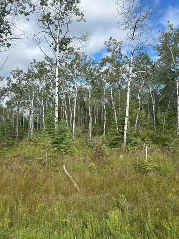 $23,900 | Tbd 340th Avenue, Roseau, MN 56751