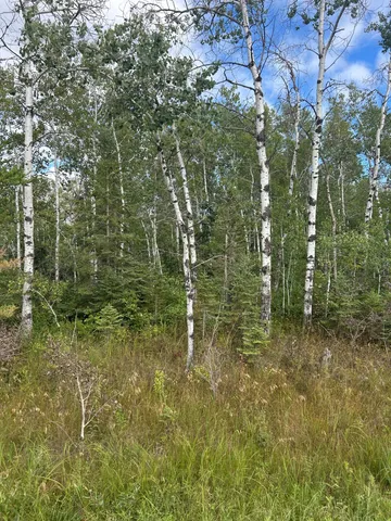 $23,900 | Tbd 340th Avenue, Roseau, MN 56751