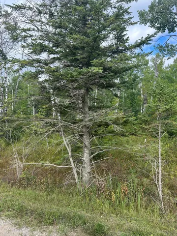 $23,900 | Tbd 340th Avenue, Roseau, MN 56751