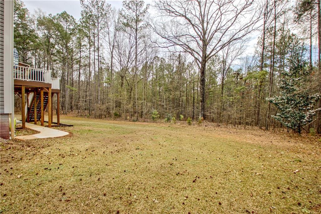 68 Skyview Road Senoia, GA 30276 - Photo 46 of 51 a view of a yard with trees