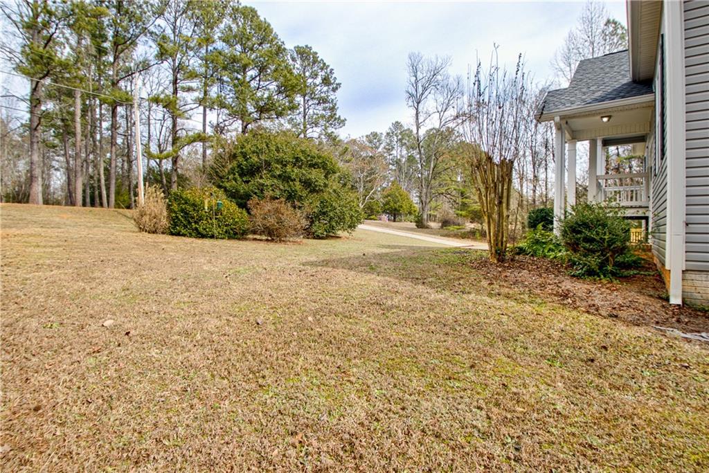 68 Skyview Road Senoia, GA 30276 - Photo 49 of 51 a view of a yard with plants and trees