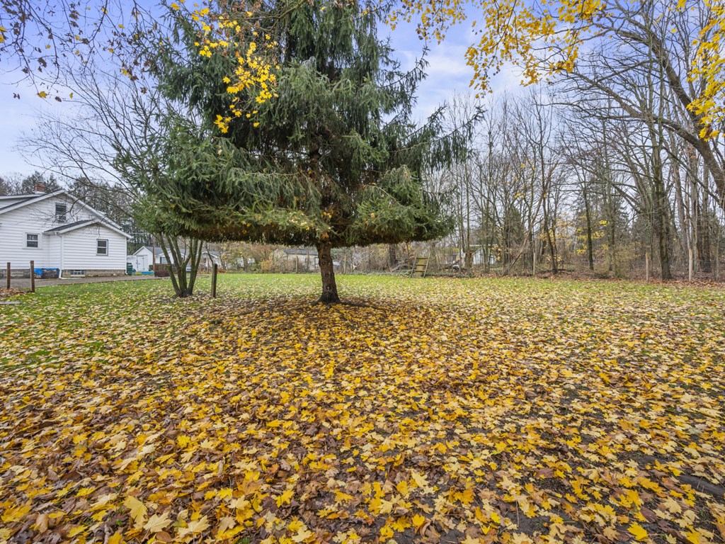 766 Ravine Street Meadville, PA 16335 - Photo 15 of 29 Gallery Image 15