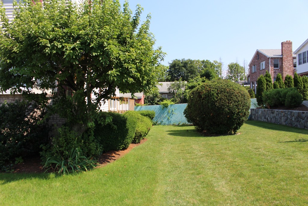 196 Linwood Avenue, Unit 196 Newton, MA 02460 - Photo 2 of 37 a view of a garden with a building in the background