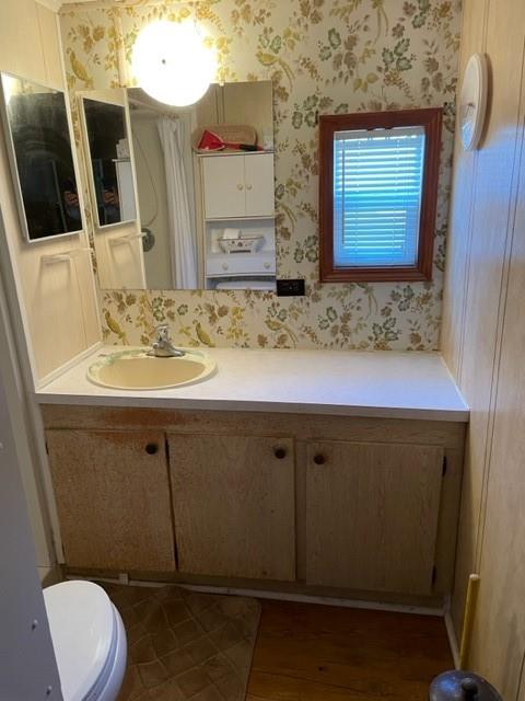23 Reedsdale Drive Clairton, PA 15025 - Photo 12 of 17 a bathroom with a sink a toilet and mirror