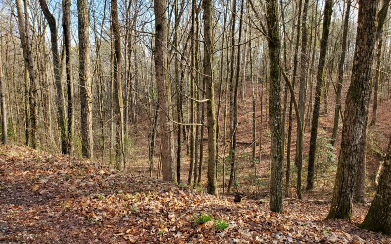 2166 Macedonia Road Ellijay, GA 30536 - Photo 1 of 4 Main View