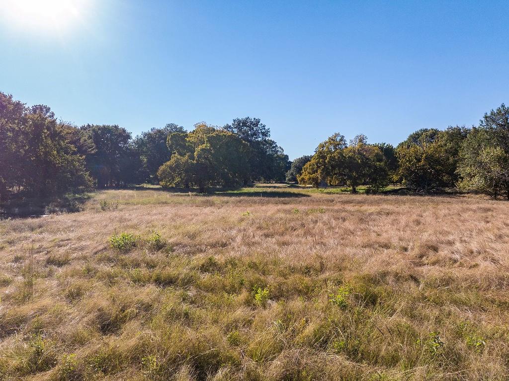 213 County Road 2320 Telephone, TX 75488 - Photo 19 of 40 a view of a field with trees in the background