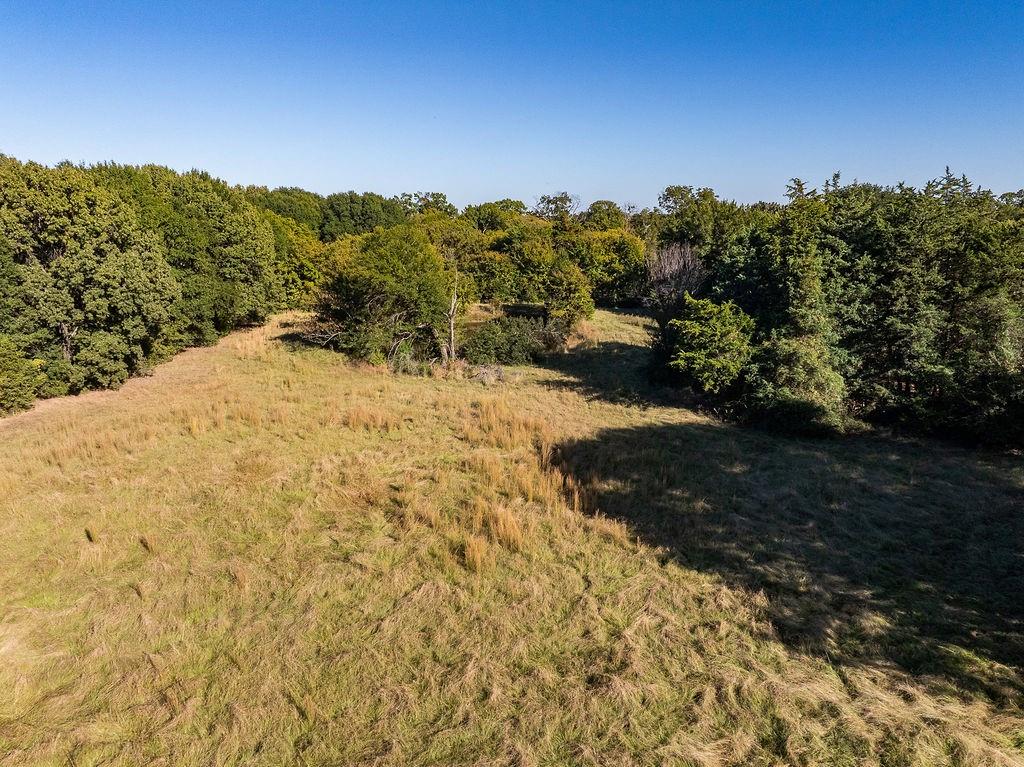 213 County Road 2320 Telephone, TX 75488 - Photo 22 of 40 a view of a dry yard with mountains in the background