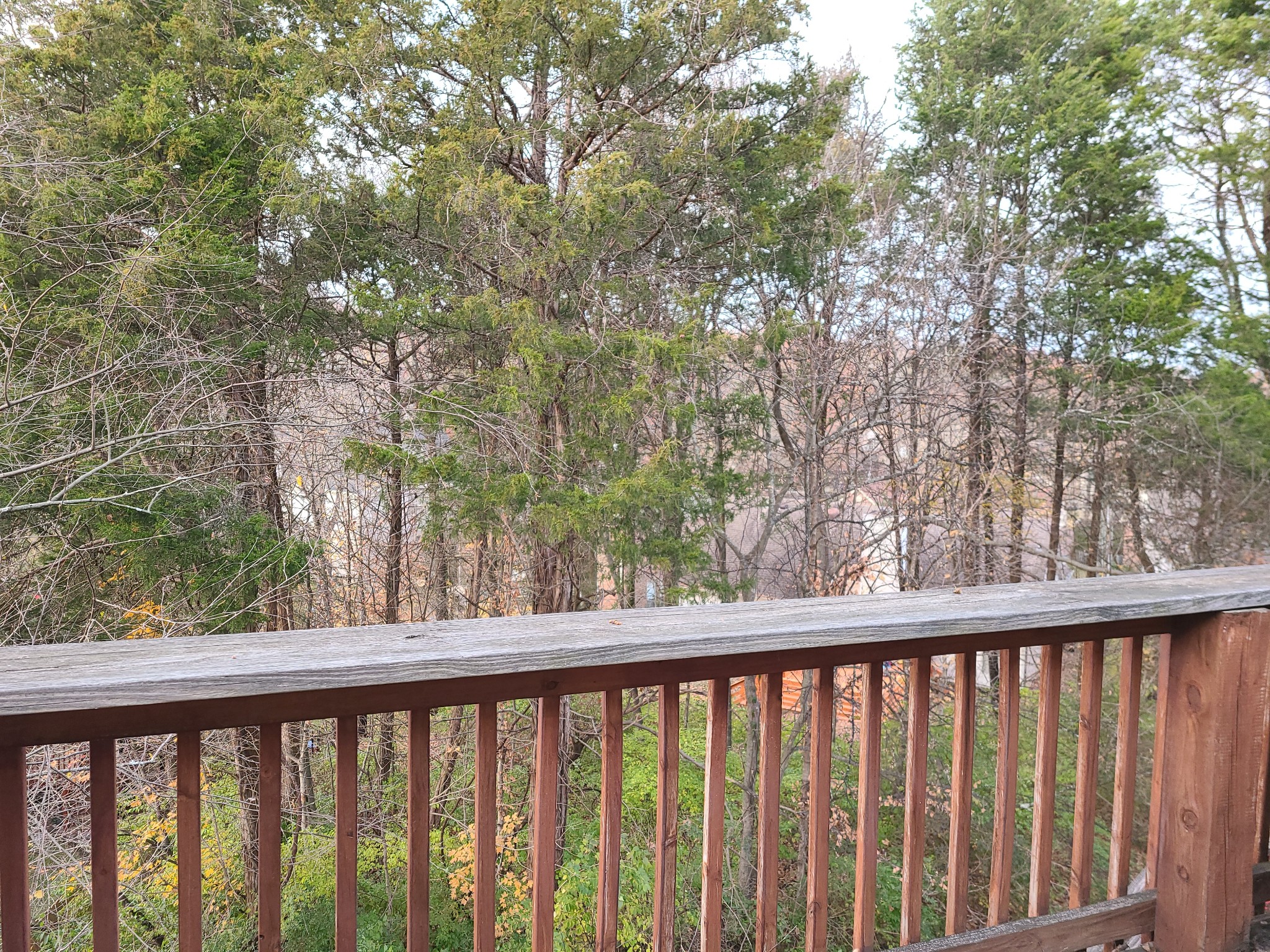 728 Canoe Ridge Point Antioch, TN 37013 - Photo 38 of 40 a view of trees from a balcony